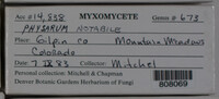 Image Associated With the Occurence